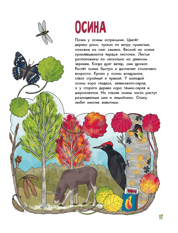 Книга Деревья (Эмма Янссон) — 11