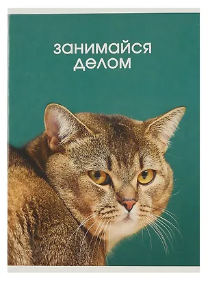 Тетрадь в клетку Listoff, "Занимайся делом", А4, 80 листов 3022327