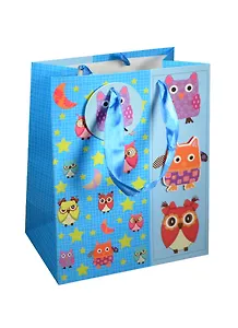Пакет подарочный бумажный А5 18*23*10 "Совы.Owls",дет., разноцвет., мат. ламинат, Хансибэг