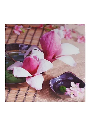 Картина Орхидея в плошке (40х40) (740-103) 2430690