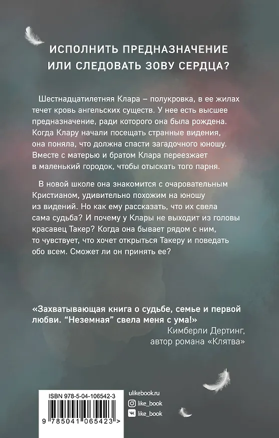 Книга Неземная (Синтия Хэнд) — 2