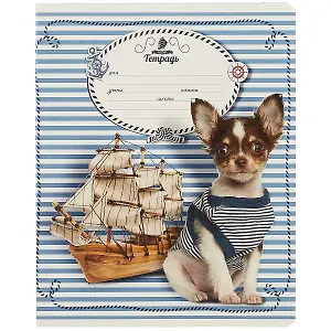 Тетрадь в клетку ПЗБМ, "Морячок", 18 листов, в ассортименте