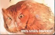 Магнит календарный Опять бухать собрался (ве4000431) 2323709 — 1