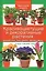 Комплект Цветочная радуга: Красивоцветущ.и декор — 2695746 — 2