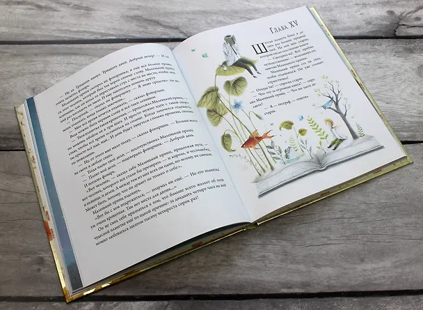 Книга Маленький принц (ил. П. Пройетти) (Антуан де Сент-Экзюпери) — 10