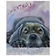 Картина по номерам на холсте с подрамником Мечтай (40х50 см) (29 цв) (662904) (коробка) (Остров сокровищ) — 2851807 — 1
