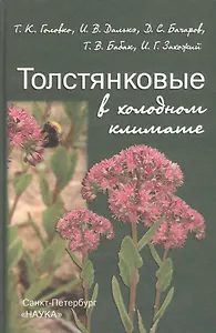 Толстянковые в холодном климате