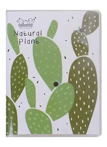 Записная книжка А6 "Кактусы"