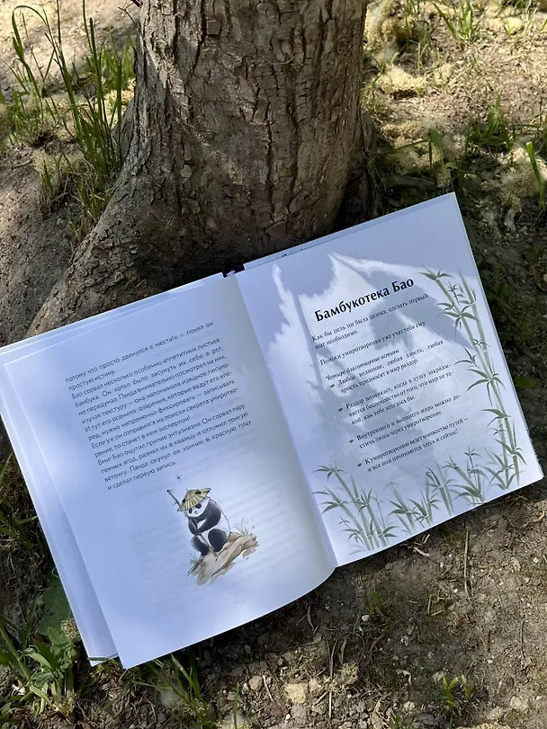 Книга Маленькая панда Бао и секрет спокойствия: добрая история о доверии к жизни (Рональд Швеппе, Алеша Лонг) — 13