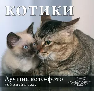 Котики. Лучшие кото-фото. 365 дней в году — 2450014 — 1