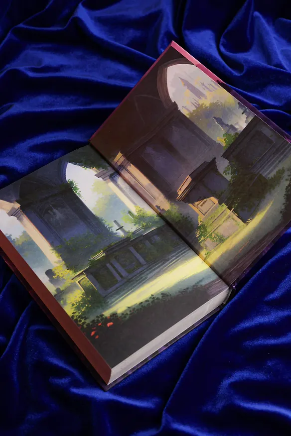 Книга Побеждая смерть. Livor Mortis (Рид Солгрет) — 11