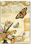 Ежедневник недат. А5 120л "БАБОЧКА И БУКЕТ" интегр.обл., печать по ткани, тиснение фольгой, ляссе, Феникс