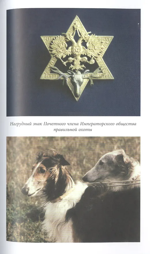 Книга Русская псовая борзая. С древнейших времен до наших дней (Алексей Оболенский) — 15
