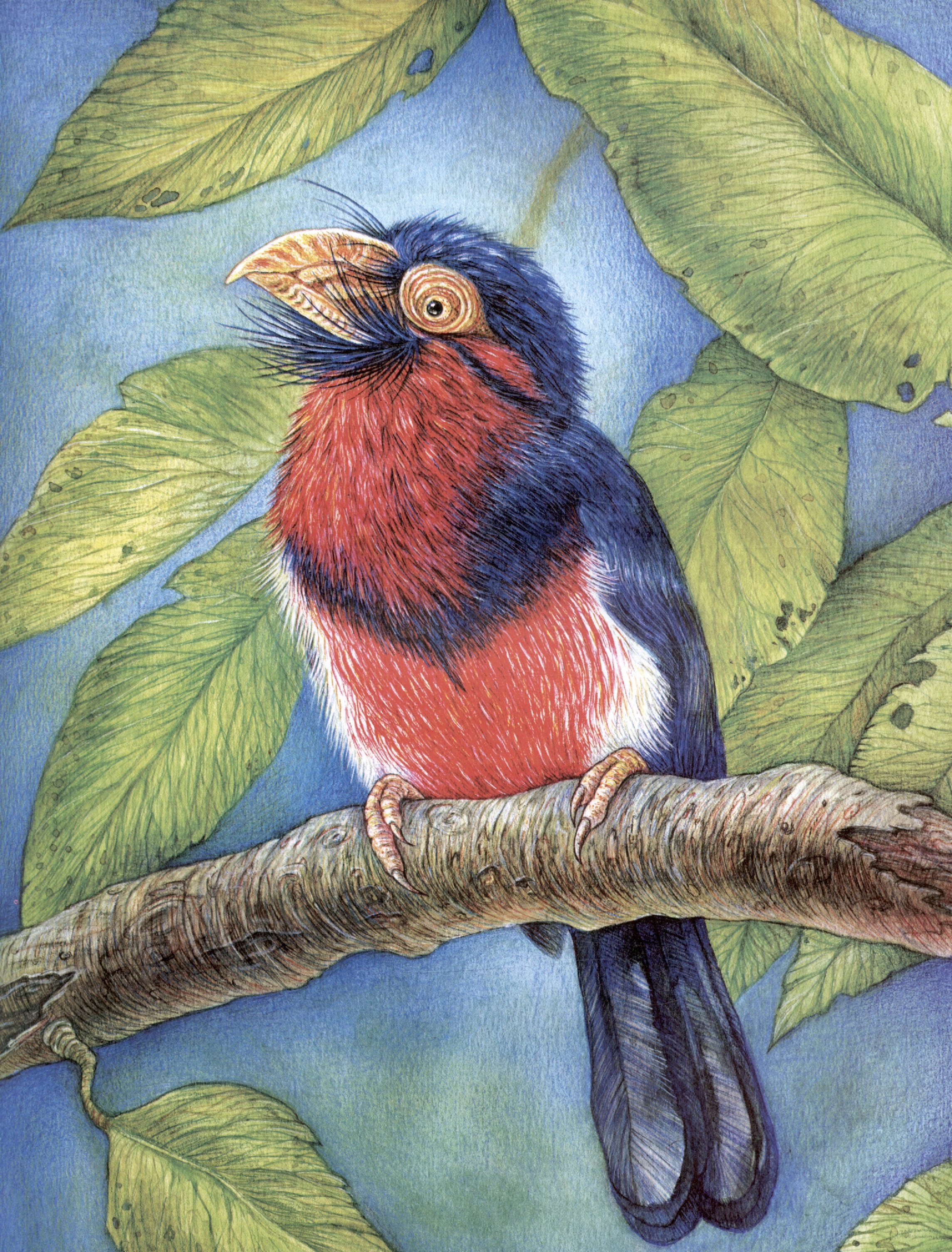 Изображение бумажной книги