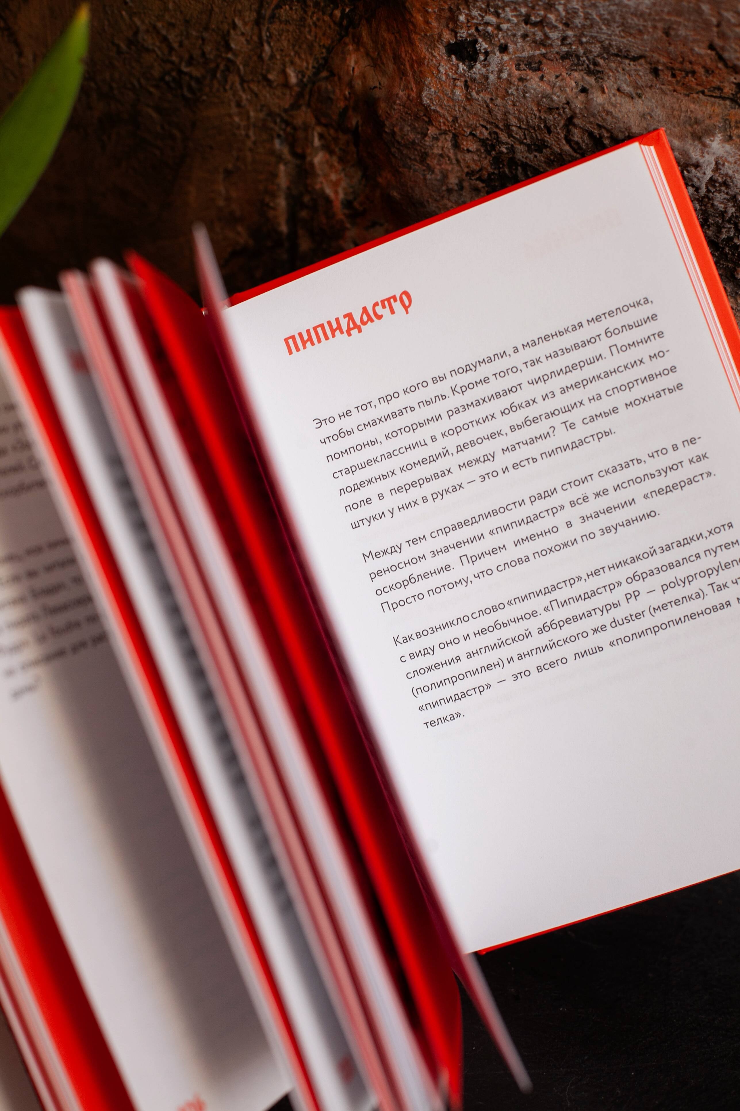 Изображение бумажной книги