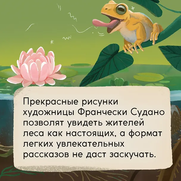 Книга Кто живёт в лесу? Иллюстрированный атлас животных (Алтея Вилла) — 10