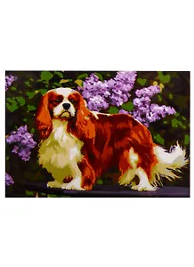 Набор д/творчества Рыжий кот Палитра. Холст с красками 40х50см по номер. в кор. (20 цв.) Пушистая собачка ХК-5887