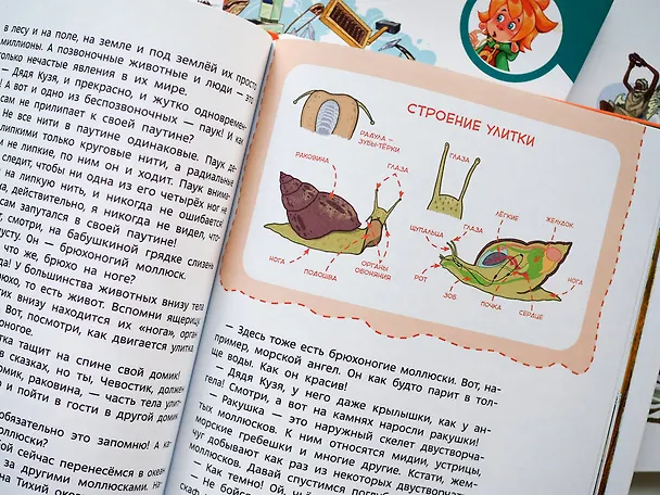 Книга Животные. Детская энциклопедия (Максим Политкин) — 14