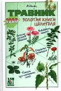 Книга Травник. Золотая книга целителя (Антонина Одинец)