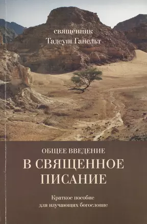 Общее введение в Священное Писание/Introductio generalis in Sacram Scripturam. Краткое пособие для изучающих богословие — 2691365 — 1