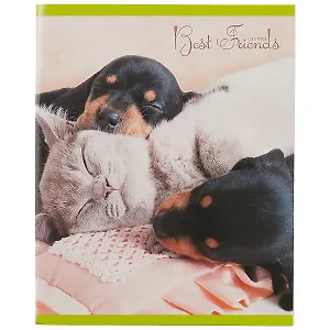 Тетрадь в клетку Unnika, "Лучшие друзья", 48 листов, в ассортименте