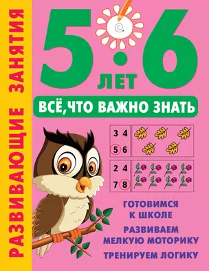 Развивающие занятия. Всё, что важно знать. 5-6 лет — 2990703 — 1