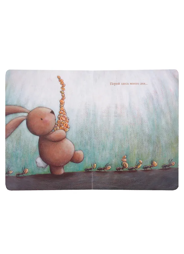 Книга Чачо в деревне (Сара Хури) — 5