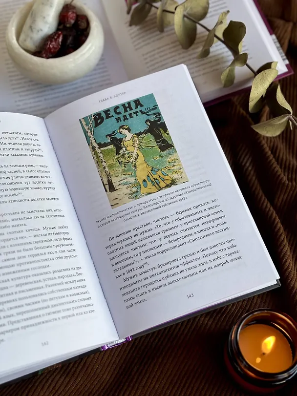 Книга Духи болезней на Руси. Сестры-лихорадки, матушка Оспа и жук в ботиночках (Антон Нелихов) — 11
