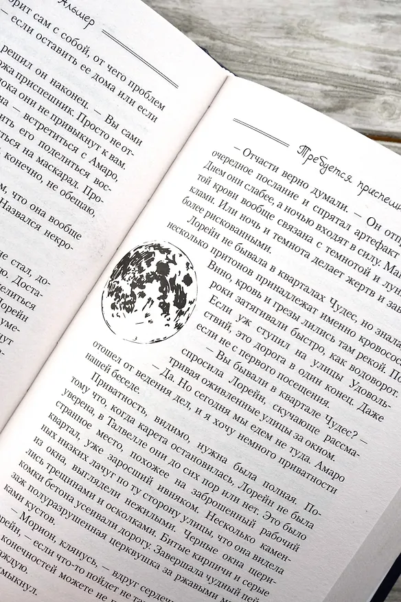 Книга Требуется приспешник (Лилия Альшер) — 13