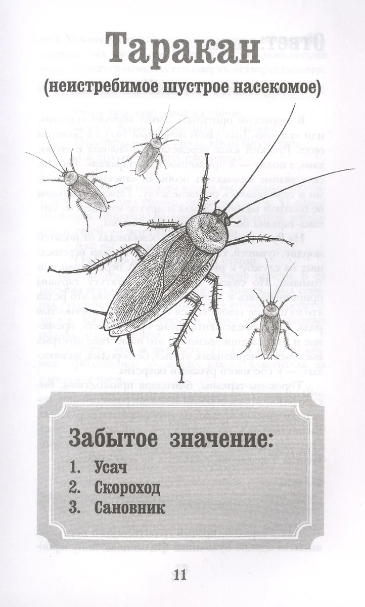 Словарные игры и не только. Ики, пики, грамматики (Лилия Гущина) - купить  книгу с доставкой в интернет-магазине «Читай-город». ISBN: 978-5-17-134855-7