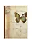 Тетрадь в линейку Феникс+, "Бабочка", 48 листов — 231923 — 1