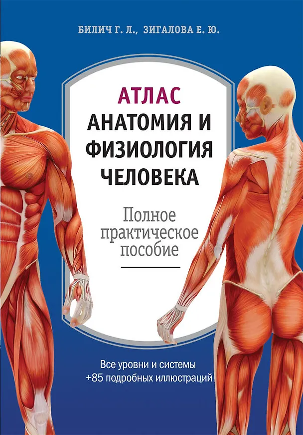 Книга Атлас: анатомия и физиология человека: полное практическое пособие (Габриэль Билич) — 1