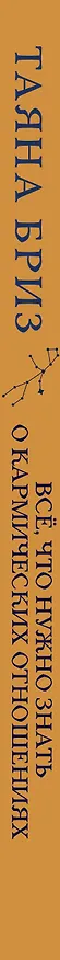 Книга Все, что нужно знать о кармических отношениях (Таяна Бриз) — 4