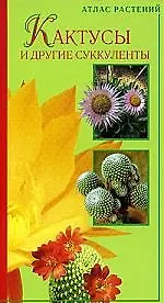 Кактусы и другие суккуенты