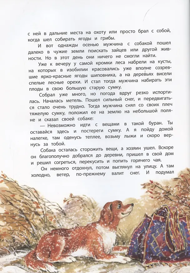 Книга Дикая кошка () — 5
