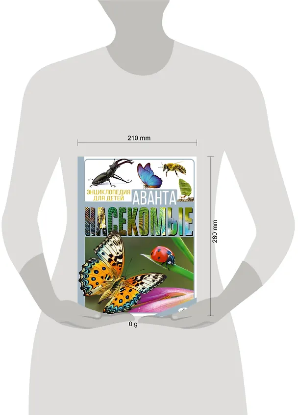 Книга Насекомые (Игорь Резько, Анна Спектор) — 9
