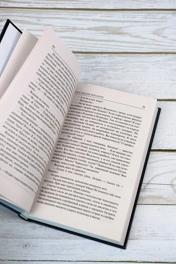 Книга Ведьмак. Последнее желание (Анджей Сапковский) — 14