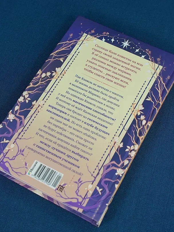 Книга Маги Каона. Академия между мирами (Эстер Пак) — 16