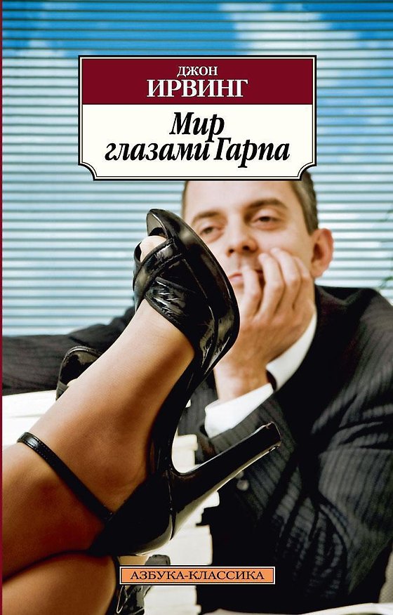 Книга Мир глазами Гарпа (Джон Ирвинг) — 1