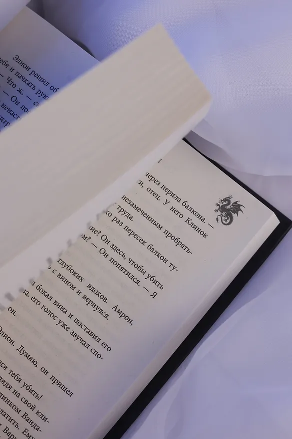 Книга Песнь Первого клинка (Т. С. Эйдж) — 15
