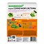 Игровой набор Модель солнечной системы, 14 предметов. Green Science/ Грин Сайенс 4М — 3177750 — 3