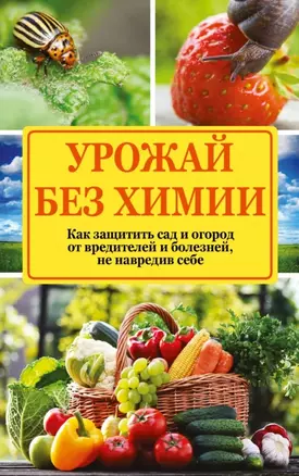 Урожай без химии: как защитить сад и огород от вредителей и болезней, не навредив себе — 2459635 — 1