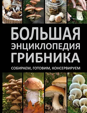 Книга Большая энциклопедия грибника. Собираем, готовим, консервируем. (Андрей Поленов)