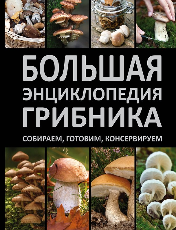 Книга Большая энциклопедия грибника. Собираем, готовим, консервируем. (Андрей Поленов) — 1