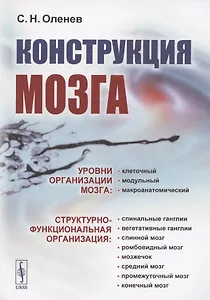 Конструкция мозга