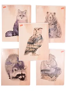 Тетрадь в клетку Academy Style, "Монохром (природа в животных)", 48 листов, в ассортименте