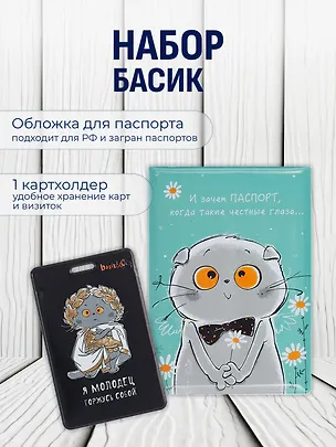 Набор обложка д/ паспорта и чехол д/карточек Басик 3093355