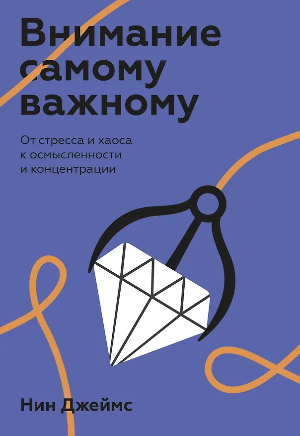 Книга Внимание самому важному. От стресса и хаоса к осмысленности и концентрации (Нин Джеймс) — 1