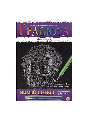 Набор для творчества РЫЖИЙ КОТ Гравюра А4 в конверте Радуга Серебро Черно-белая Милый щенок Г-477 2533683