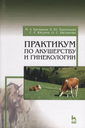 Практикум по акушерству и гинекологии. Учебн. пос., 1-е изд. — 2641403 — 1